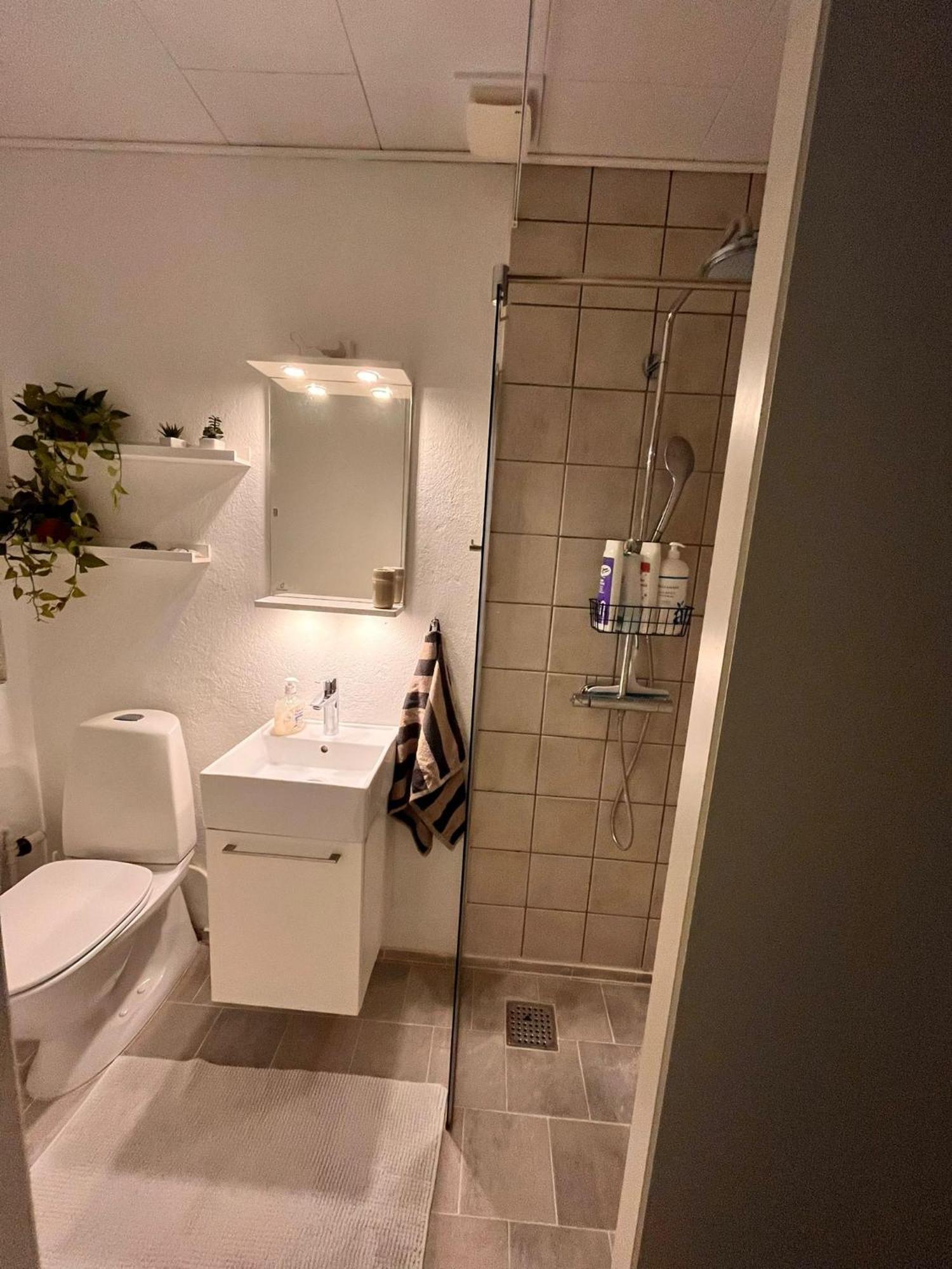 Shruti'S Home Billund Exterior photo